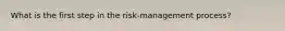 What is the first step in the risk-management process?