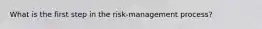 What is the first step in the risk-management process?​