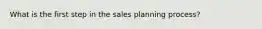 What is the first step in the sales planning process?