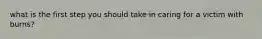 what is the first step you should take in caring for a victim with burns?