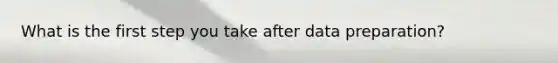 What is the first step you take after data preparation?