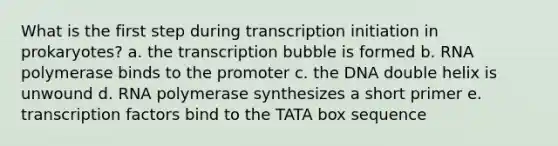 What is the first step during transcription initiation in prokaryotes? a. the transcription bubble is formed b. RNA polymerase binds to the promoter c. the DNA double helix is unwound d. RNA polymerase synthesizes a short primer e. transcription factors bind to the TATA box sequence