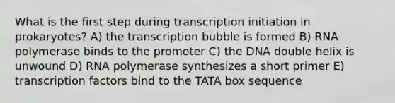 What is the first step during transcription initiation in prokaryotes? A) the transcription bubble is formed B) RNA polymerase binds to the promoter C) the DNA double helix is unwound D) RNA polymerase synthesizes a short primer E) transcription factors bind to the TATA box sequence