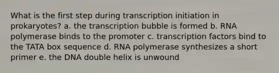 What is the first step during transcription initiation in prokaryotes? a. the transcription bubble is formed b. RNA polymerase binds to the promoter c. transcription factors bind to the TATA box sequence d. RNA polymerase synthesizes a short primer e. the DNA double helix is unwound