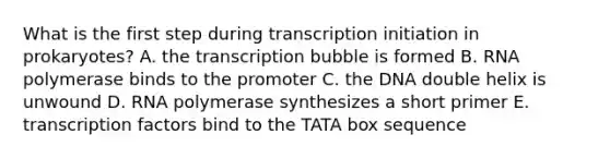 What is the first step during transcription initiation in prokaryotes? A. the transcription bubble is formed B. RNA polymerase binds to the promoter C. the DNA double helix is unwound D. RNA polymerase synthesizes a short primer E. transcription factors bind to the TATA box sequence