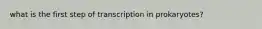what is the first step of transcription in prokaryotes?