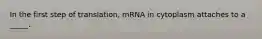 In the first step of translation, mRNA in cytoplasm attaches to a _____.