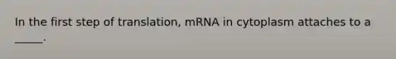 In the first step of translation, mRNA in cytoplasm attaches to a _____.