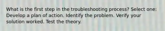 What is the first step in the troubleshooting process? Select one: Develop a plan of action. Identify the problem. Verify your solution worked. Test the theory.