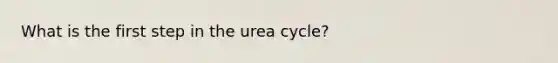 What is the first step in the urea cycle?