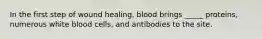 In the first step of wound healing, blood brings _____ proteins, numerous white blood cells, and antibodies to the site.