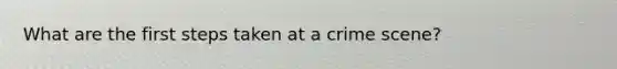 What are the first steps taken at a crime scene?