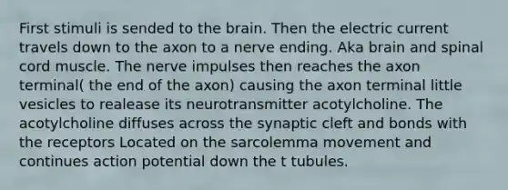 First stimuli is sended to the brain. Then the electric current travels down to the axon to a nerve ending. Aka brain and spinal cord muscle. The nerve impulses then reaches the axon terminal( the end of the axon) causing the axon terminal little vesicles to realease its neurotransmitter acotylcholine. The acotylcholine diffuses across the synaptic cleft and bonds with the receptors Located on the sarcolemma movement and continues action potential down the t tubules.