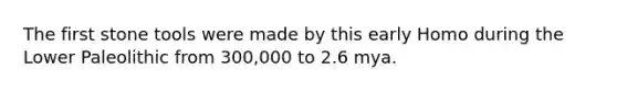 The first stone tools were made by this early Homo during the Lower Paleolithic from 300,000 to 2.6 mya.