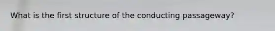 What is the first structure of the conducting passageway?