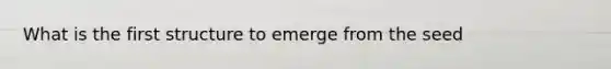 What is the first structure to emerge from the seed