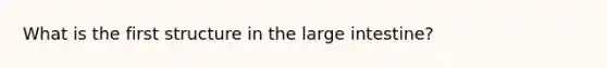 What is the first structure in the large intestine?