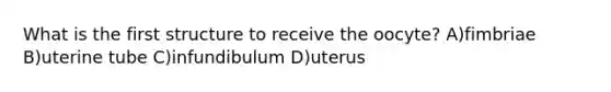 What is the first structure to receive the oocyte? A)fimbriae B)uterine tube C)infundibulum D)uterus