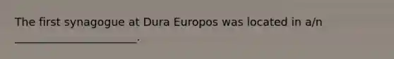 The first synagogue at Dura Europos was located in a/n ______________________.