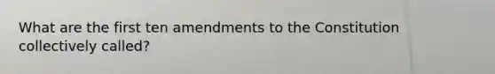 What are the first ten amendments to the Constitution collectively called?