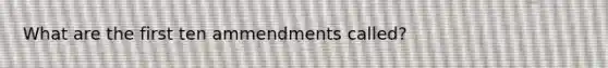 What are the first ten ammendments called?