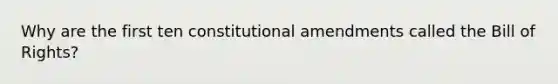 Why are the first ten constitutional amendments called the Bill of Rights?