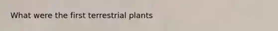 What were the first terrestrial plants