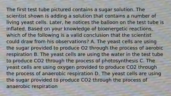 The first test tube pictured contains a sugar solution. The scientist shown is adding a solution that contains a number of living yeast cells. Later, he notices the balloon on the test tube is inflated. Based on your knowledge of bioenergetic reactions, which of the following is a valid conclusion that the scientist could draw from his observations? A. The yeast cells are using the sugar provided to produce O2 through the process of aerobic respiration B. The yeast cells are using the water in the test tube to produce CO2 through the process of photosynthesis C. The yeast cells are using oxygen provided to produce CO2 through the process of anaerobic respiration D. The yeast cells are using the sugar provided to produce CO2 through the process of anaerobic respiration