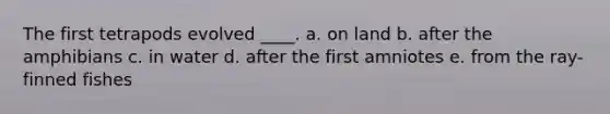 The first tetrapods evolved ____. a. on land b. after the amphibians c. in water d. after the first amniotes e. from the ray-finned fishes