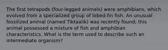 The first tetrapods (four-legged animals) were amphibians, which evolved from a specialized group of lobed-fin fish. An unusual fossilized animal (named Tiktaalik) was recently found; this animal possessed a mixture of fish and amphibian characteristics. What is the term used to describe such an intermediate organism?