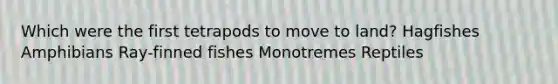 Which were the first tetrapods to move to land? Hagfishes Amphibians Ray-finned fishes Monotremes Reptiles