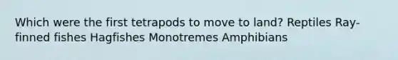 Which were the first tetrapods to move to land? Reptiles Ray-finned fishes Hagfishes Monotremes Amphibians