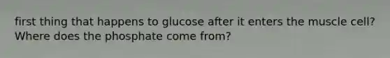 first thing that happens to glucose after it enters the muscle cell? Where does the phosphate come from?