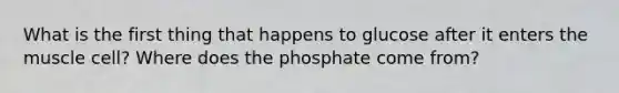 What is the first thing that happens to glucose after it enters the muscle cell? Where does the phosphate come from?