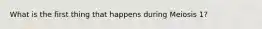 What is the first thing that happens during Meiosis 1?