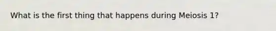 What is the first thing that happens during Meiosis 1?