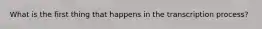 What is the first thing that happens in the transcription process?