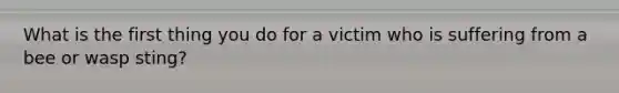 What is the first thing you do for a victim who is suffering from a bee or wasp sting?