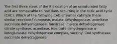 The first three steps of the β oxidation of an unsaturated fatty acid are comparable to reactions occurring in the citric acid cycle (CAC). Which of the following CAC enzymes catalyze these similar reactions? fumarase, malate dehydrogenase, aconitase succinate dehydrogenase, fumarase, malate dehydrogenase citrate synthase, aconitase, isocitrate dehydrogenase α-ketoglutarate dehydrogenase complex, succinyl CoA synthetase, succinate dehydrogenase