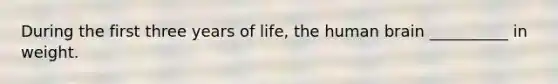 During the first three years of life, the human brain __________ in weight.