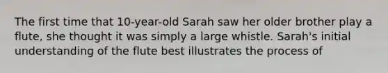 The first time that 10-year-old Sarah saw her older brother play a flute, she thought it was simply a large whistle. Sarah's initial understanding of the flute best illustrates the process of