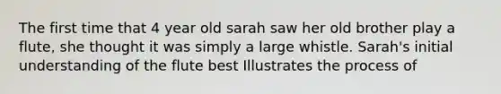 The first time that 4 year old sarah saw her old brother play a flute, she thought it was simply a large whistle. Sarah's initial understanding of the flute best Illustrates the process of