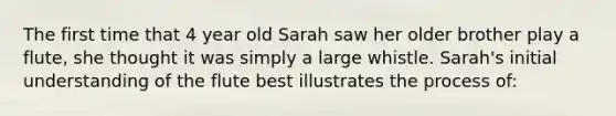 The first time that 4 year old Sarah saw her older brother play a flute, she thought it was simply a large whistle. Sarah's initial understanding of the flute best illustrates the process of: