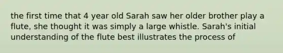 the first time that 4 year old Sarah saw her older brother play a flute, she thought it was simply a large whistle. Sarah's initial understanding of the flute best illustrates the process of