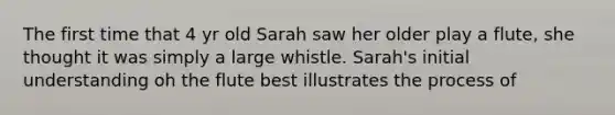 The first time that 4 yr old Sarah saw her older play a flute, she thought it was simply a large whistle. Sarah's initial understanding oh the flute best illustrates the process of