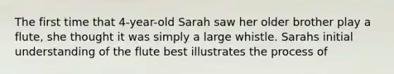 The first time that 4-year-old Sarah saw her older brother play a flute, she thought it was simply a large whistle. Sarahs initial understanding of the flute best illustrates the process of