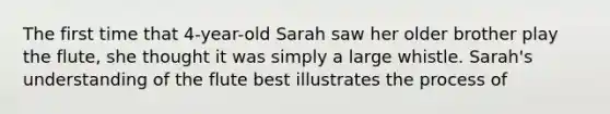 The first time that 4-year-old Sarah saw her older brother play the flute, she thought it was simply a large whistle. Sarah's understanding of the flute best illustrates the process of