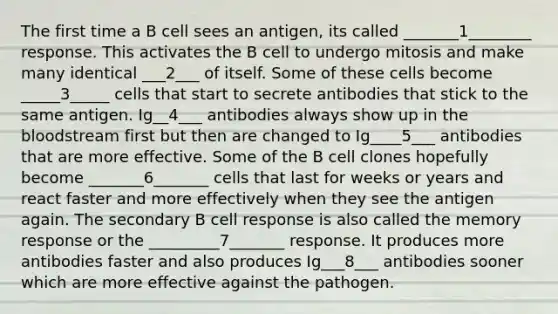 The first time a B cell sees an antigen, its called _______1________ response. This activates the B cell to undergo mitosis and make many identical ___2___ of itself. Some of these cells become _____3_____ cells that start to secrete antibodies that stick to the same antigen. Ig__4___ antibodies always show up in the bloodstream first but then are changed to Ig____5___ antibodies that are more effective. Some of the B cell clones hopefully become _______6_______ cells that last for weeks or years and react faster and more effectively when they see the antigen again. The secondary B cell response is also called the memory response or the _________7_______ response. It produces more antibodies faster and also produces Ig___8___ antibodies sooner which are more effective against the pathogen.