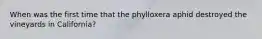 When was the first time that the phylloxera aphid destroyed the vineyards in California?