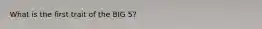 What is the first trait of the BIG 5?